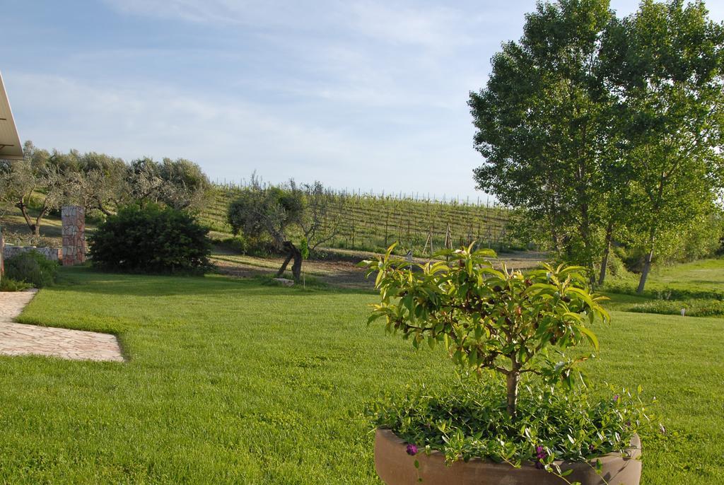 Agriturismo Arte Et Agricoltura Tuscania Buitenkant foto