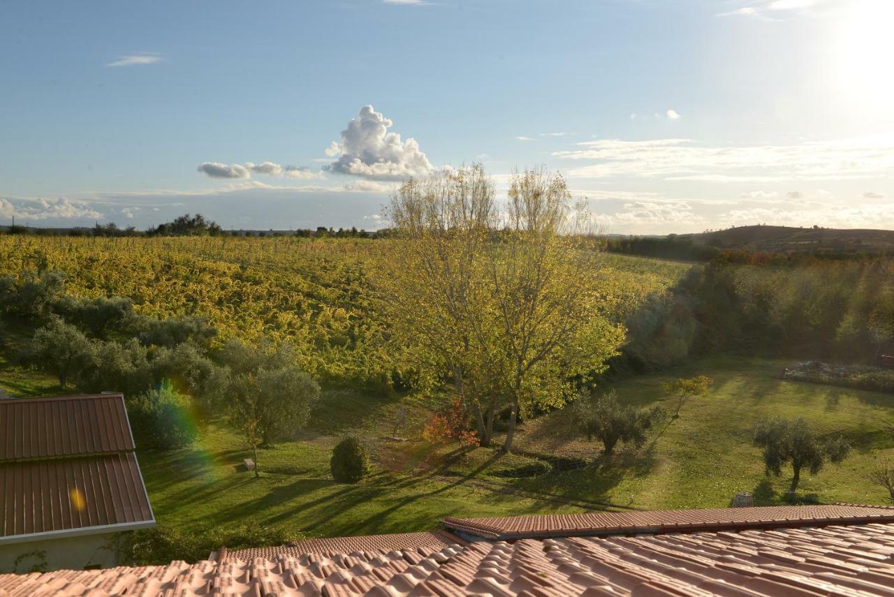 Agriturismo Arte Et Agricoltura Tuscania Buitenkant foto